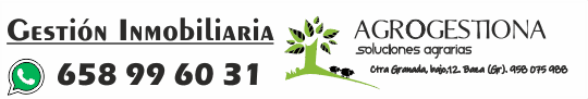 Gestión inmobiliaria Agrogestiona